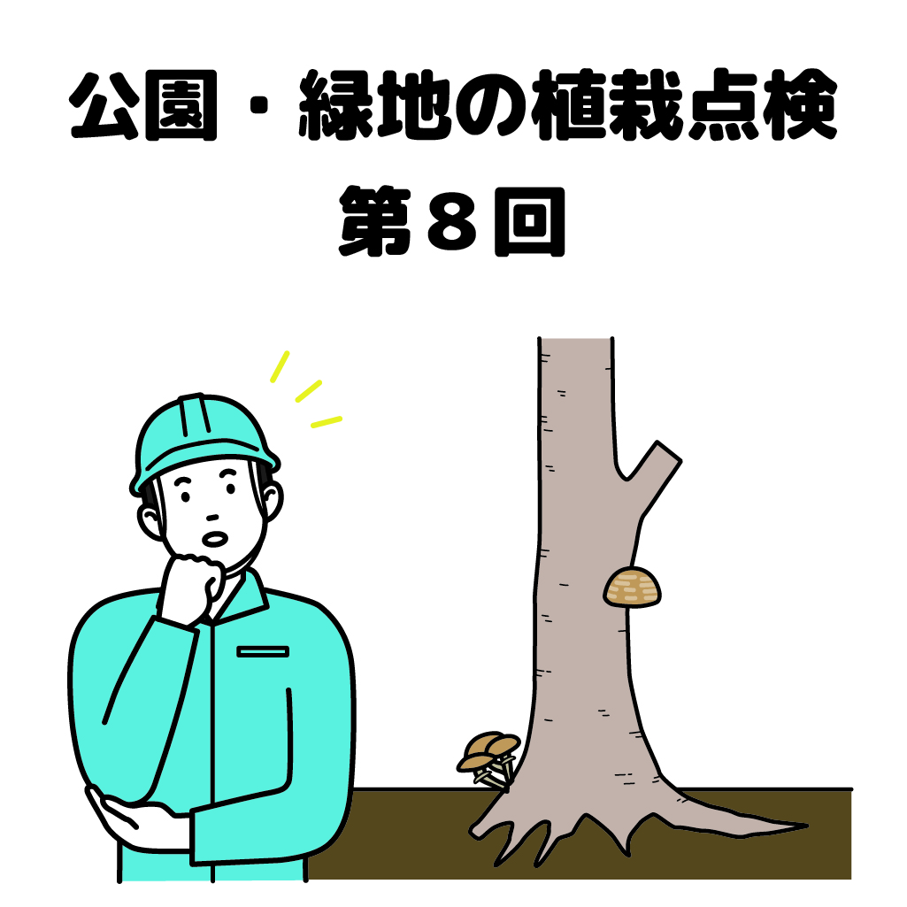 街の樹木NewsLetter Vol.20　6月号　公園・緑地の植栽点検シリーズ第8回－樹⽊の安全点検−倒⽊や落枝の危険を発⾒しよう！ その５−キノコ